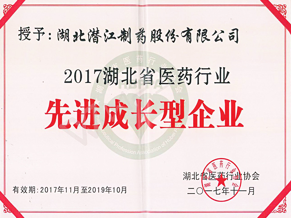 2017湖北省醫(yī)藥行業(yè)先進(jìn)成長型企業(yè)